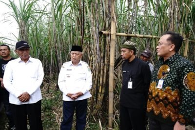 Bupati Malang Tertarik Kembangkan Tanaman Tebu Varietas Cening