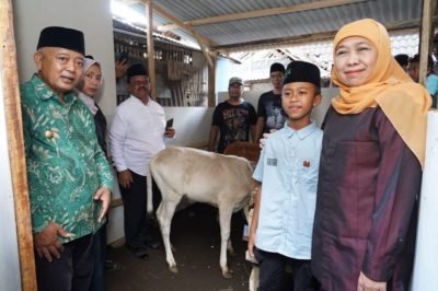 Gubernur Jatim Berikan Sapi Pedet Wujudkan Keinginan Nanda Siswa SDN 2 Klampok Singosari