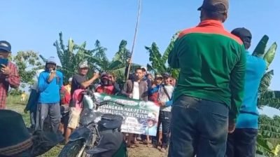 Ribuan Hektar Sawah Terendam Air, Petani di Kecamatan Widang dan Plumpang Gelar Aksi