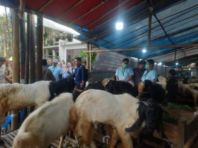 Ditemukan Ratusan Kasus Penyakit Hewan Kurban saat Iduladha 1446 H