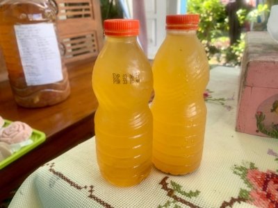 Ketekunan Kusmiati di Dunia Fermentasi Berbuah Inovasi Jamu Probiotik