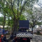 Proyek Drainase Kawasan Suhat Kota Malang, Pohon Mulai Ditebang