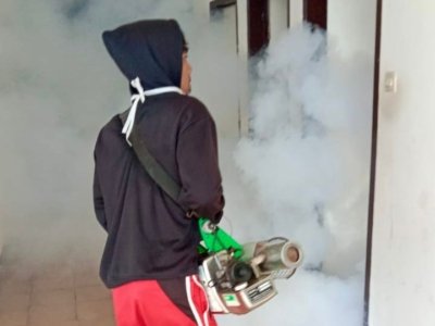 Kasus DBD di Kota Batu Capai 142, Empat Wilayah Jadi Titik Tertinggi