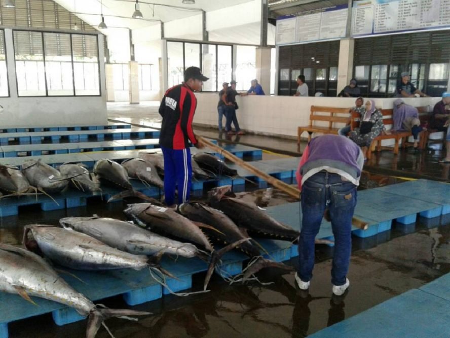 Pemkab Malang Tekan Angka Stunting Melalui Gemar Makan Ikan