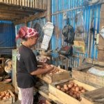 Pakan Jagung dan MBG Pengaruhi Kenaikan Harga Telur Ayam di Kota Malang