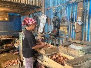 Pakan Jagung dan MBG Pengaruhi Kenaikan Harga Telur Ayam di Kota Malang