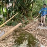 Dusun Toyomerto
