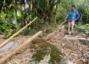 Dusun Toyomerto