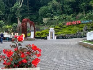 Realisasi Pajak Kota Batu