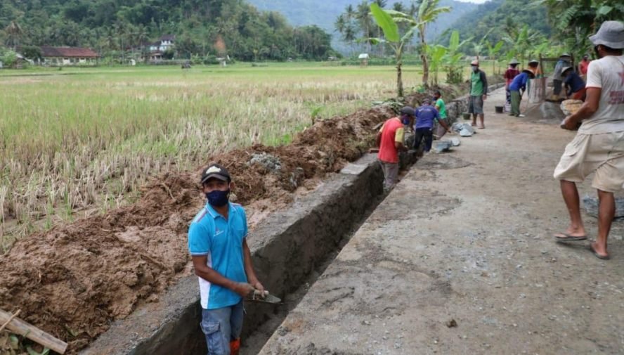 Pemkab Malang Aliri Lahan Persawahan Kurang dari Tiga Ribu Hektare