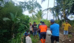 Diguyur Hujan Lebat, Dua Plesengan di Poncokusumo Ambruk