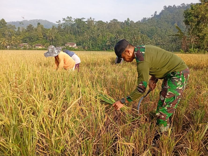 Beras Surplus, Warga Kabupaten Malang Tak Kesulitan Dapatkan Beras