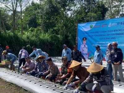 Wali Kota Malang Tanam 3.000 Bibit Cabai, Strategi Jitu Tekan Inflasi
