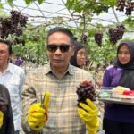 Duta Pengangguran Jadi Agro Edu-wisata Pertama di Kota Malang