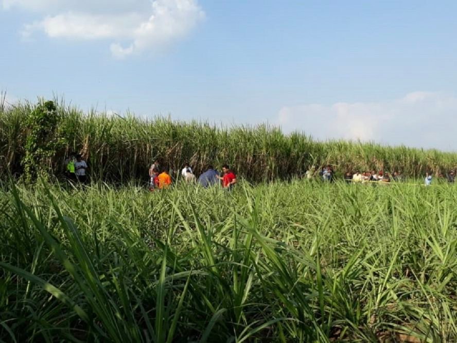 Sentra Tebu di Gondanglegi Bakal Jadi Peta Jalan Swasembada Gula Nasional 2028-2030