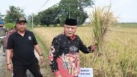 Satu Tahun Kemimpinan Sanusi-Lathifah, Kabupaten Malang Terima 33 Penghargaan