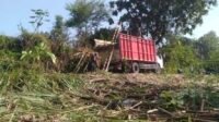 Peran Penyuluh Pertanian Dioptimalkan, Antisipasi Polemik Program Bongkar Ratoon