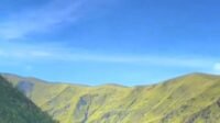 Hamparan Sabana Hijau di Kawasan Gunung Bromo Jadi Primadona Wisatawan