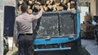 Terduga Pelaku Ilegal Loging di Hutan Sumbermanjing Wetan Diamankan Polres Malang