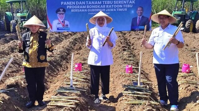 Gubernur Jatim Perkuat Ketahanan Pangan Nasional, di Sektor Perkebunan Tebu