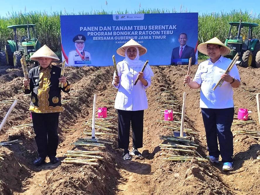 Gubernur Jatim Perkuat Ketahanan Pangan Nasional, di Sektor Perkebunan Tebu