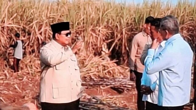 Perkuat Kedaulatan Pangan Nasional, Presiden Prabowo Subianto Panen Raya Bersama TNI