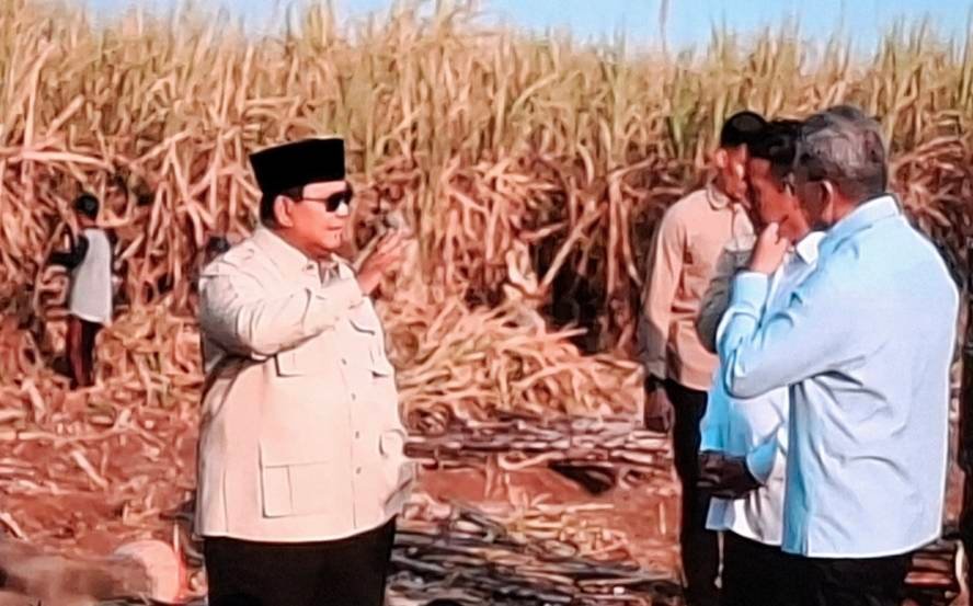 Perkuat Kedaulatan Pangan Nasional, Presiden Prabowo Subianto Panen Raya Bersama TNI
