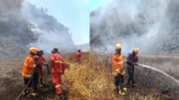 363-Upaya pemadaman api di Kawasan TNBTS Kawasan Hutan TNBTS Dilalap Api Capai 921 Hektar, Tim Gabungan Terus Bergerak Padamkan Api