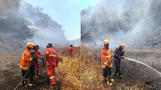 Kawasan Hutan TNBTS Dilalap Api Capai 921 Hektar, Tim Gabungan Terus Bergerak Padamkan Api