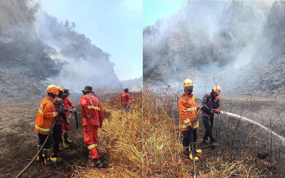 Kawasan Hutan TNBTS Dilalap Api Capai 921 Hektar, Tim Gabungan Terus Bergerak Padamkan Api