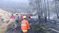 Penanganan Karhutla TNBTS Penanganan Karhutla TNBTS Terus Digencarkan, Luasan Terdampak Capai 921 Hektare