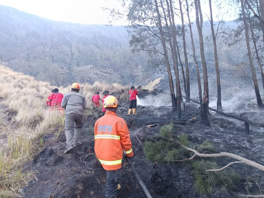 Penanganan Karhutla TNBTS Terus Digencarkan, Luasan Terdampak Capai 921 Hektare