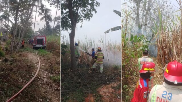 Nahas, Petani di Pakisaji Tewas Terjebak Kobaran Api di Lahan Tebu Sendiri