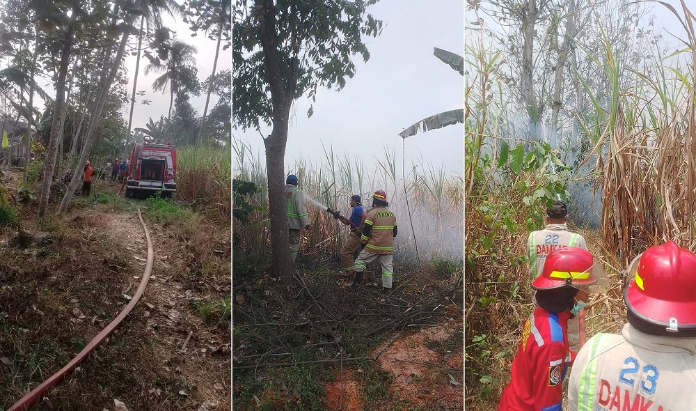 Nahas, Petani di Pakisaji Tewas Terjebak Kobaran Api di Lahan Tebu Sendiri