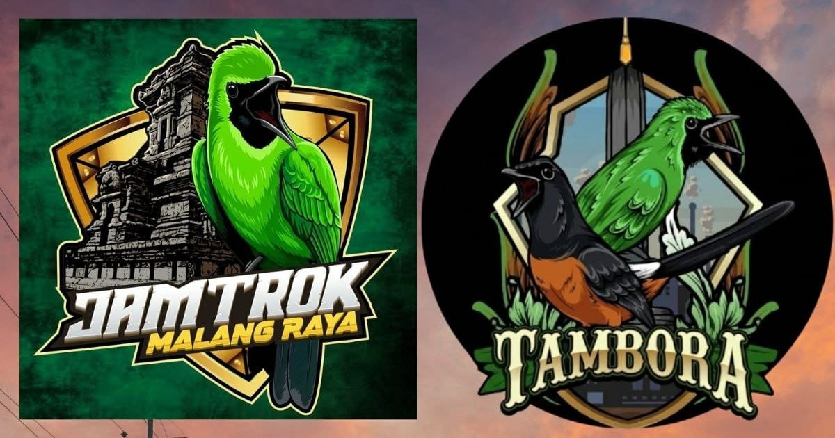 Komunitas Tambora hingga Jamtrok Siap Meriahkan Mahesa Bird Contest 'September Ceria'