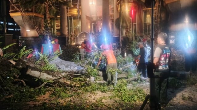 Pohon Besar di Jalan Dr. Cipto Malang Tumbang, Satu Mobil Rusak Ringan