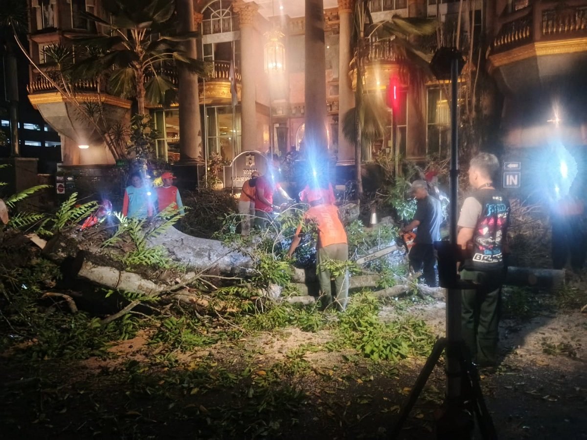 Pohon Besar di Jalan Dr. Cipto Malang Tumbang, Satu Mobil Rusak Ringan