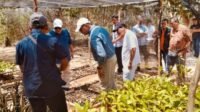 Komisi XI DPR RI Dorong Pembentukan Ekosistem Perdagangan Karbon Biru Berbasis Masyarakat