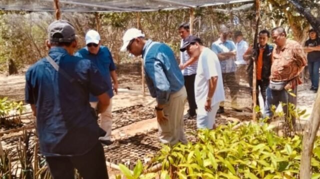Komisi XI DPR RI Dorong Pembentukan Ekosistem Perdagangan Karbon Biru Berbasis Masyarakat
