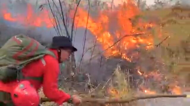 BPBD Kabupaten Malang Bersama Tim Gabungan Padamkan Api Karhutla di Gunung Arjuno Kabupaten Malang